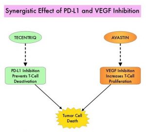 Synergistic-Effect-of-PD-L1-and-VEGF-Inhibition