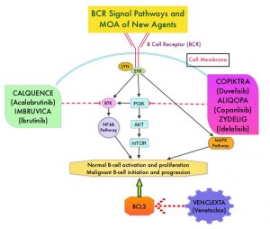 VENCLEXTA_MOA