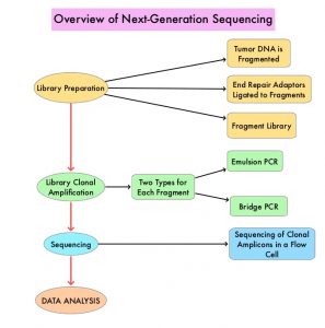 Overview-of-Next-Generation-Sequencing