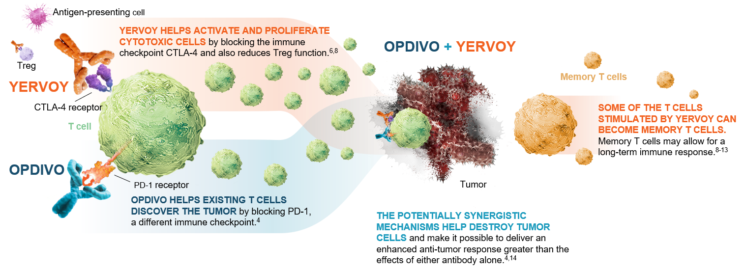 OPDIVO+YERVOY-MOA