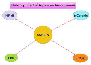 Inhibitory-Effect-of-Aspirin-on-Tumorigenesis