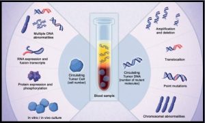 Liquid-Biopsy