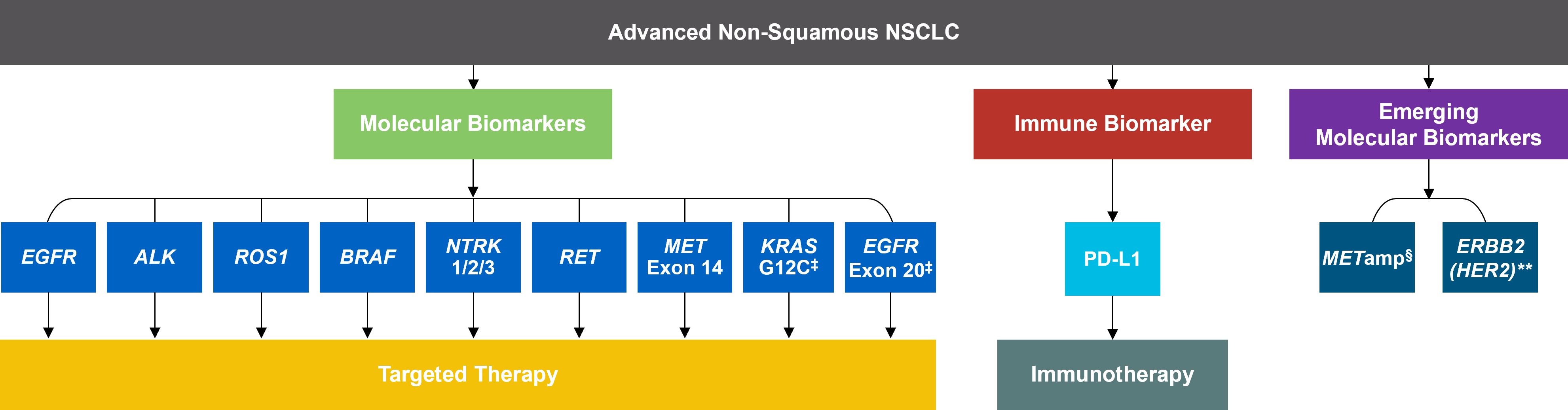 Advanced-Non-Squamous-NSCLC